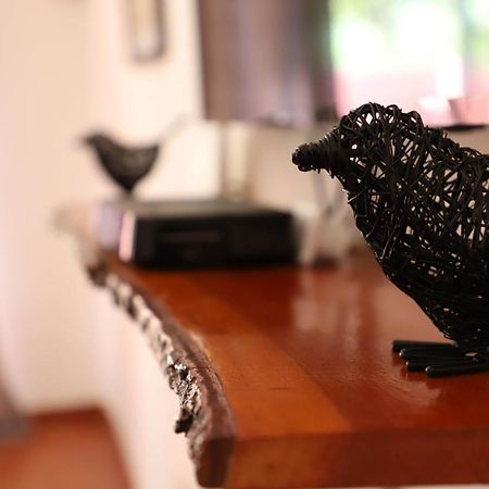 Butterfly Apartments Livingstone Ngoại thất bức ảnh