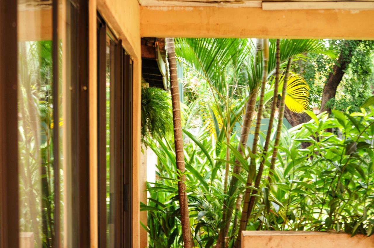 Butterfly Apartments Livingstone Ngoại thất bức ảnh