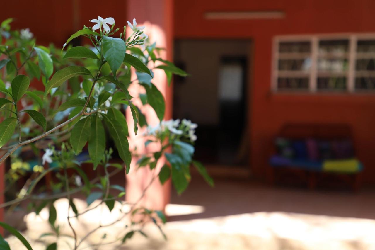 Butterfly Apartments Livingstone Ngoại thất bức ảnh